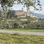 Il Girasole Assisi