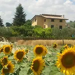 Il Girasole *