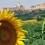 Farm stay Il Girasole