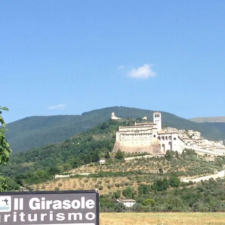 Il Girasole