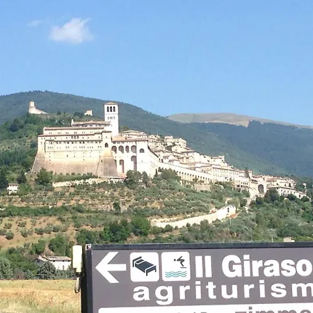 Il Girasole * Assise