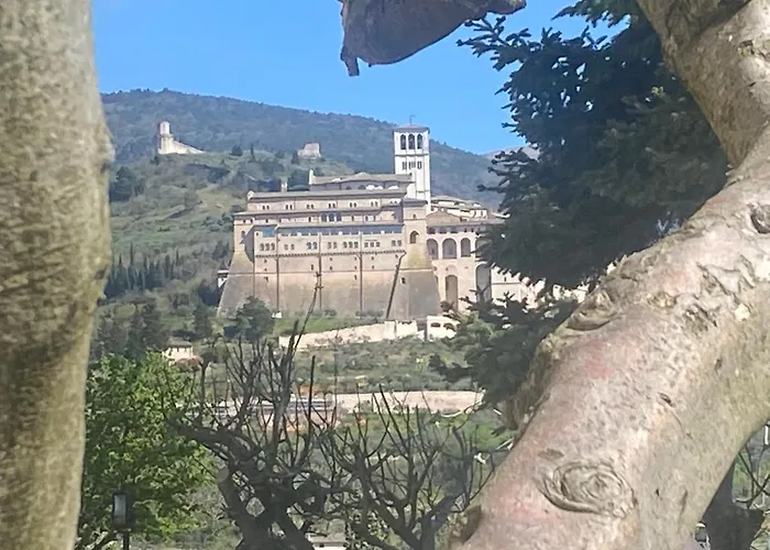 Il Girasole Farm stay