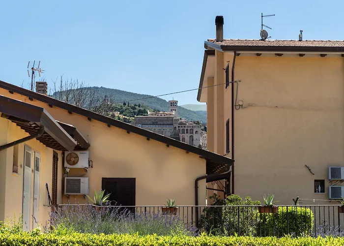 Farm stay Il Girasole