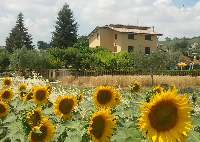 Il Girasole *